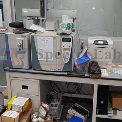 Thermo Scientific Trace GC Ultra with DSQ II GC/MS