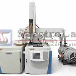 Thermo TSQ Duo GC MS with TRACE 1310 GC TriPlus RSH Autosampler  GC/MS/MS System